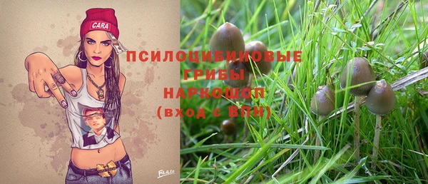 СК Горняк