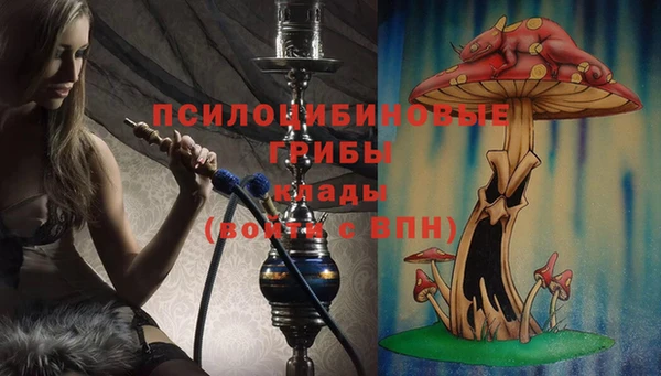 COCAINE Вяземский