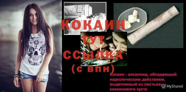 СК Горняк