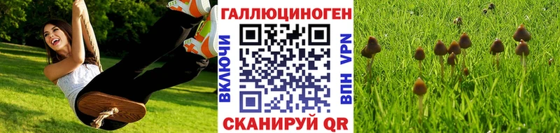 Купить где  Вилюйск  Галлюциногенные грибы Psilocybine cubensis 